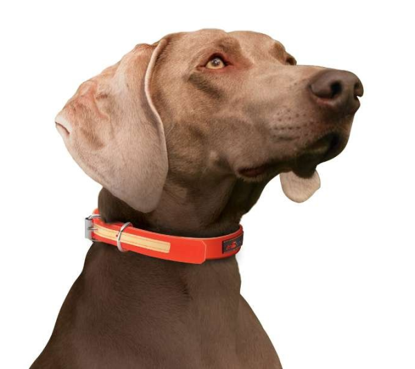 Yellow - Play Glow Collar - 18"x1"