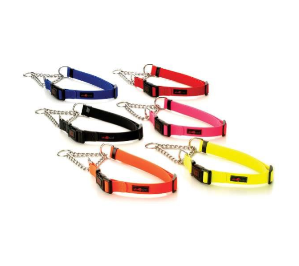 Orange - Play Martingale Collar - 16"-22" x 1"