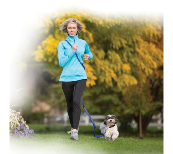 Orange - Play Martingale Collar - 12"-16" x 3/4"