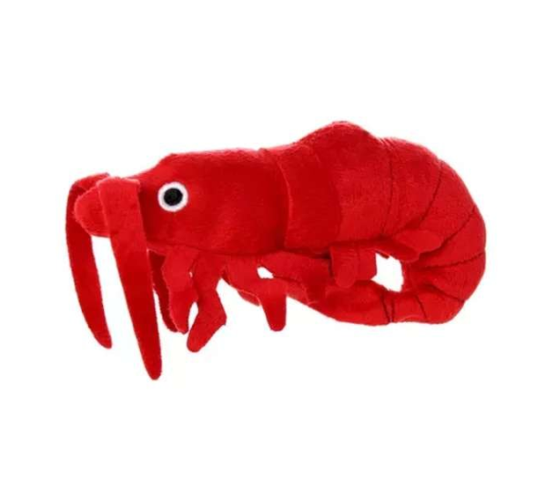 Red - Mighty Jr Ocean - Junior