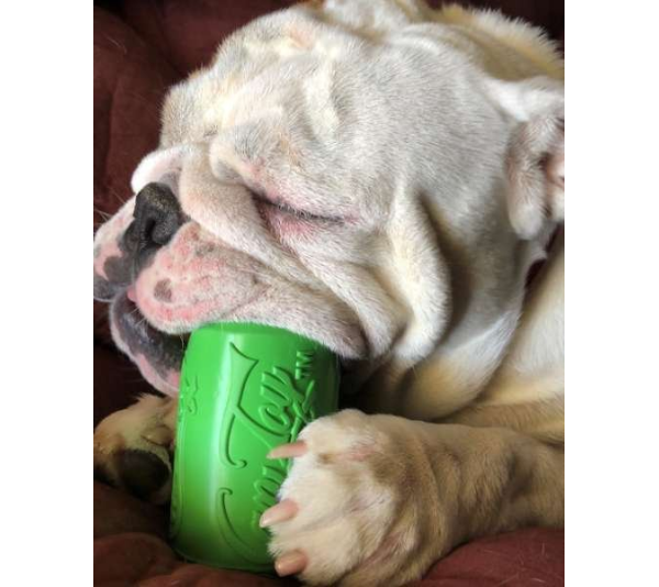 Orange Squeeze - SP Can Toy Durable Rubber Chew Toy & Treat Dispenser  - Small