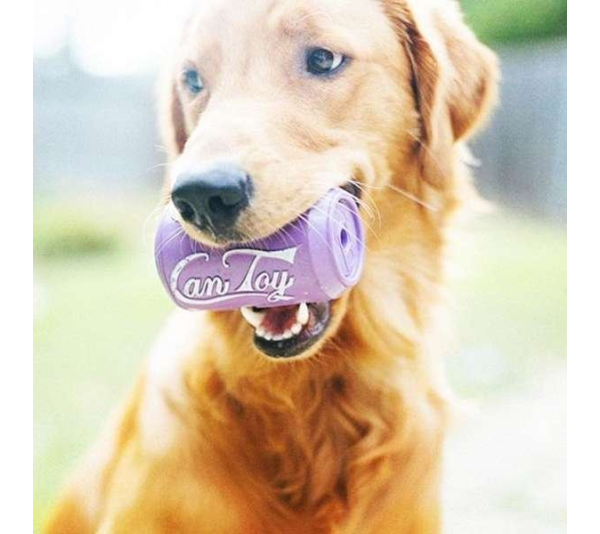 Orange Squeeze - SP Can Toy Durable Rubber Chew Toy & Treat Dispenser  - Small