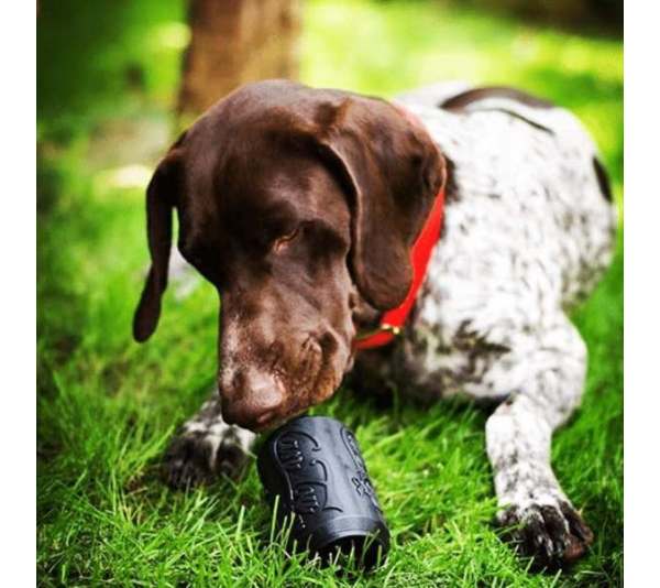 Black - SP Magnum Can Toy Ultra Durable Rubber Chew Toy & Treat Dispenser  - Medium