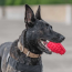 Red - USA-K9 Grenade Durable Rubber Chew Toy & Treat Dispenser - Medium