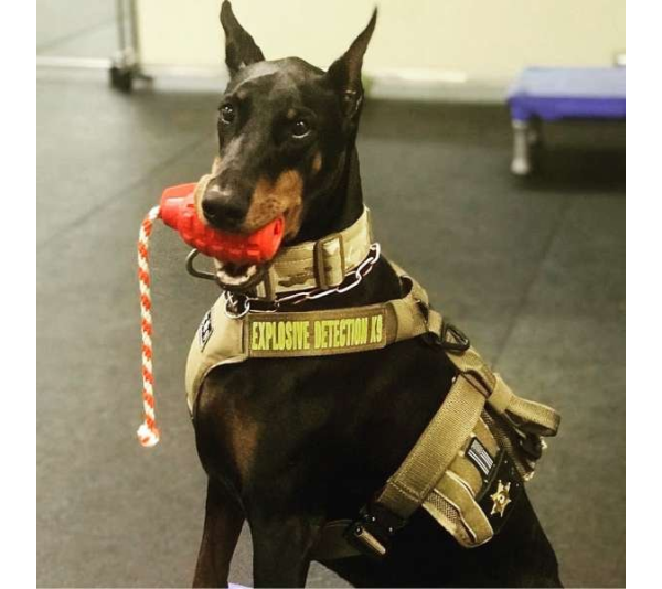 Black - USA-K9 Grenade Durable Rubber Chew Toy, Treat Dispenser, Reward Toy, Tug Toy, and Retrieving Toy - Medium