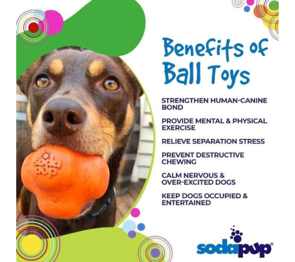 Pink - SP Crazy Bounce Ultra Durable Rubber Chew & Retrieving Toy  - Large