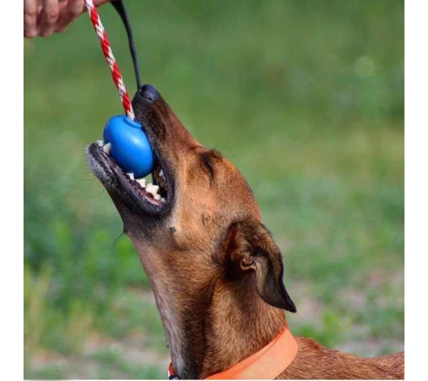 Red - USA-K9 Cherry Bomb Durable Rubber Chew Toy, Treat Dispenser, Reward Toy, Tug Toy, and Retrieving Toy - Large