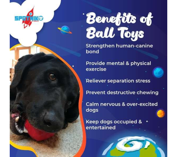 Red - SN Asteroid Ultra Durable Rubber Chew Toy  - Large