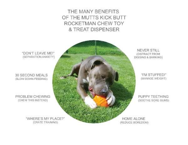 RED - SN Rocketman Durable Rubber Treat Dispenser & Chew Toy - L