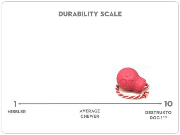 Pink - USA-K9 Skull Durable Rubber Chew Toy, Treat Dispenser, Reward Toy, Tug Toy, and Retrieving Toy - Large