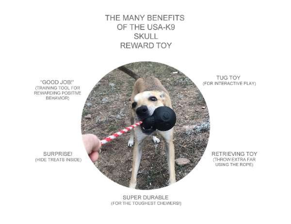 Pink - USA-K9 Skull Durable Rubber Chew Toy, Treat Dispenser, Reward Toy, Tug Toy, and Retrieving Toy - Large