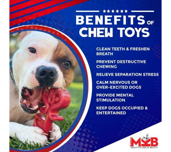 Red - MKB Key to My Heart Ultra Durable Nylon Dog Chew Toy for Aggressive Chewers - OSFA