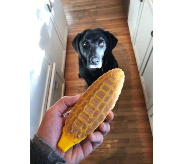 Yellow - SP Corn on the Cob Ultra Durable Nylon Dog Chew Toy for Aggressive Chewers  - OSFA