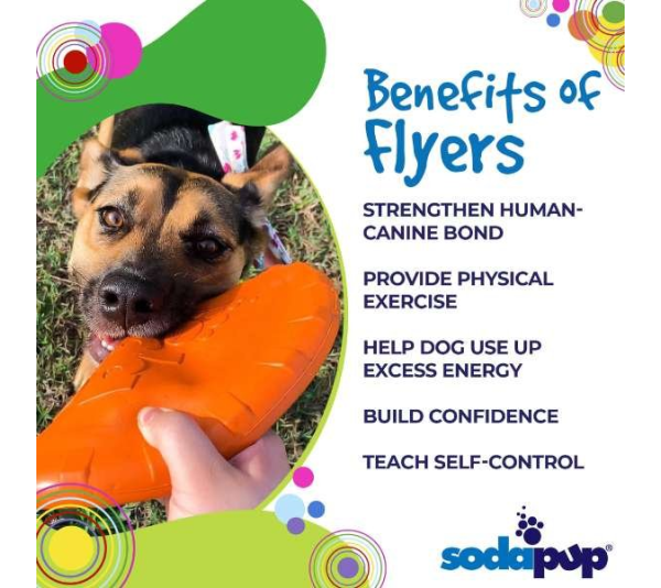 Orange Squeeze - SP Bottle Top Flyer Durable Rubber Retrieving Frisbee - Small (7" diameter)