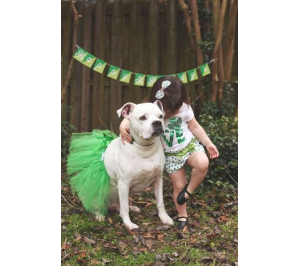 Green - Green Christmas Dog Tutu Skirt (XXL) - XXL