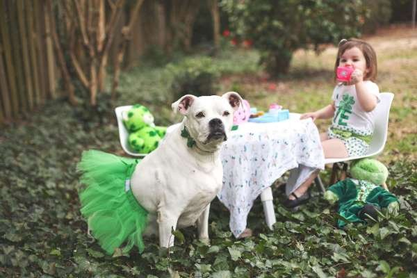 Green - Green Christmas Dog Tutu Skirt (XXXL) - XXXL