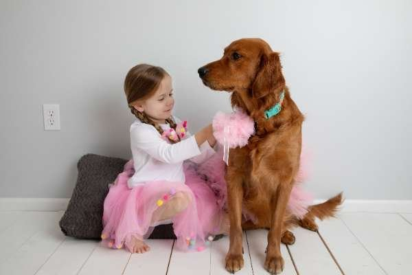Light Pink - Light Pink Dog Tutu Skirt (Medium) - Medium