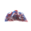Red/White/Blue - Red/White/Blue 4th Of July Dog Tutu Skirt (Small) - Small