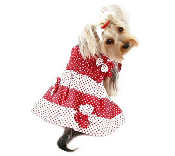 Red/White - Red & White Polka Dots Sundress with Contrasting Flowers - XS