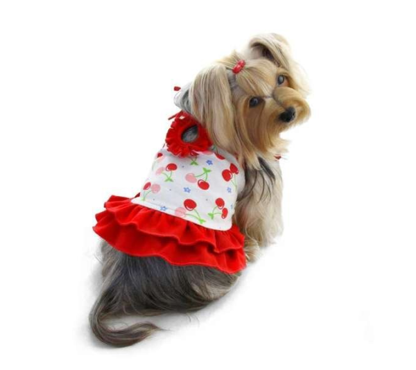 Soft Knit Cotton Cherries Dress with Shoulder Ties - XS