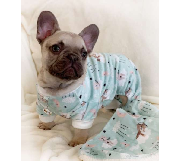 Green - Ultra Soft Plush Minky Bedtime Bears Pajamas - Small