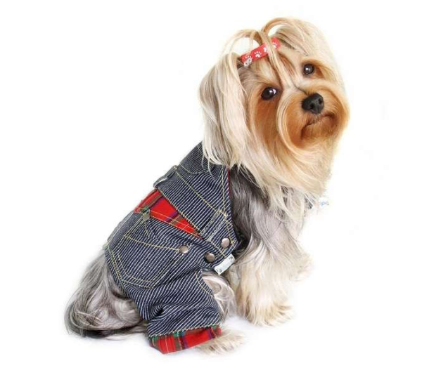 Blue - Adorable Stripy Denim Overall - Medium