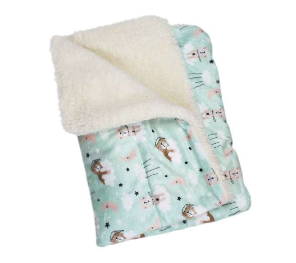 Green - Ultra Soft Minky/Plush Bedtime Bears Blanket - One Size