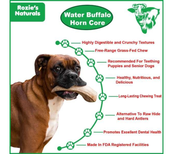 Cream - WATER BUFFALO HORN CORE-Horn Inner Part-100% Natural, High Protein, Long-Lasting, Grain-Free, Gluten-Free, Low-Fat, Dog Dental Treats & Chews-2 COUNT-10 oz - Large