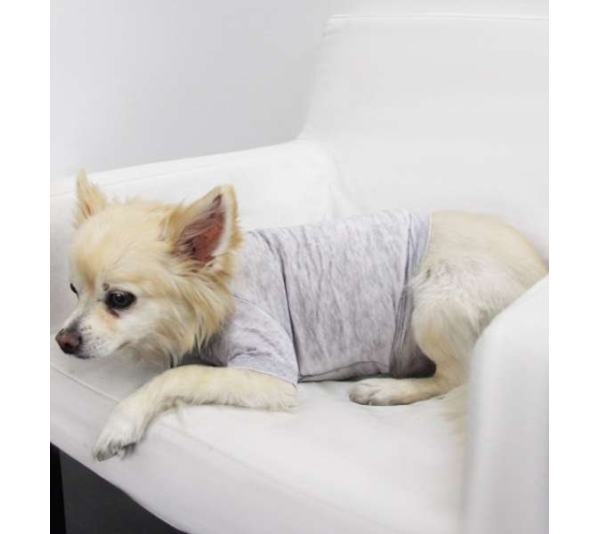 Asphalt - Doggy Tee - Medium