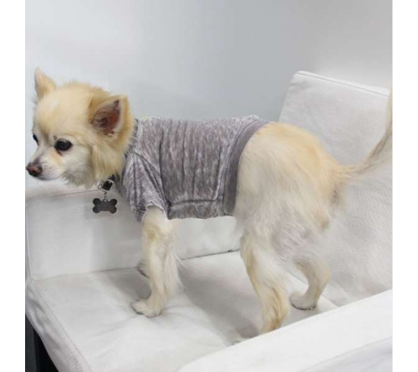 Coco - Doggy Tee - XS