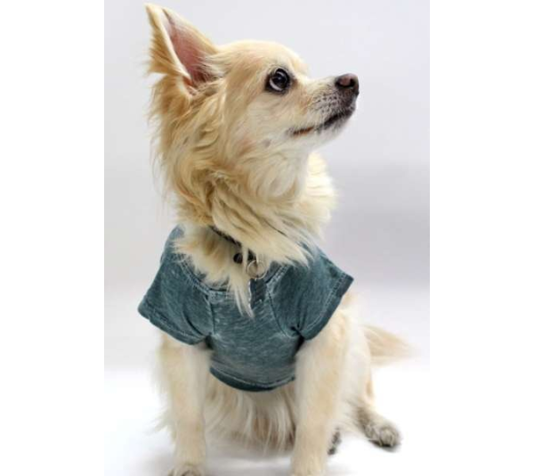 Hunter - Doggy Tee - Large