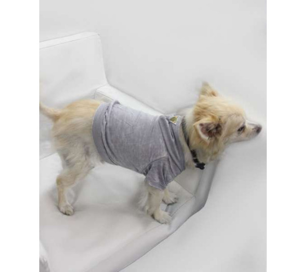 Asphalt - Doggy Hoodie - Large