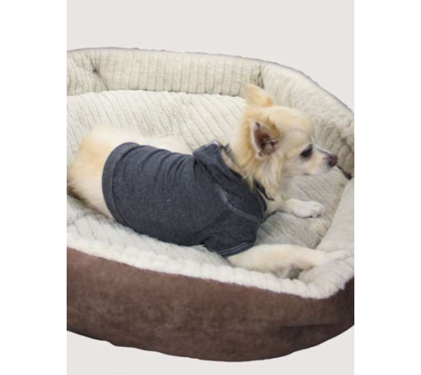 Black - Doggy Hoodie - XS