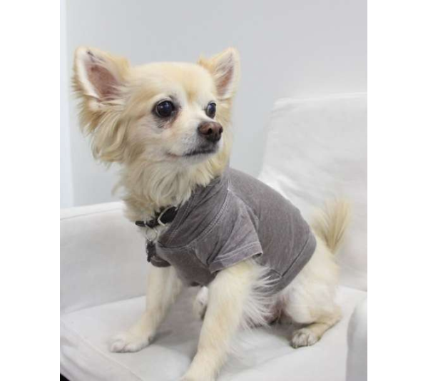 Coco - Doggy Hoodie - XL