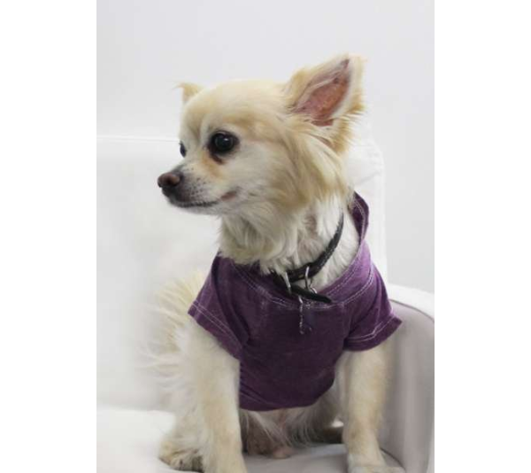 Plum - Doggy Hoodie - XL