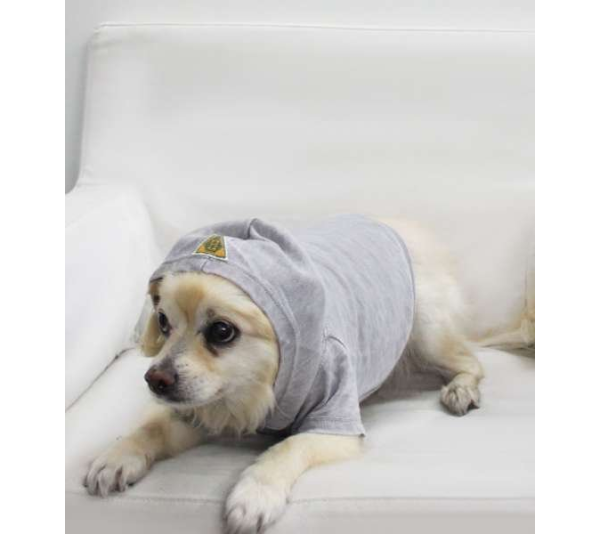 Asphalt - Doggy Hoodie French Terry - Small