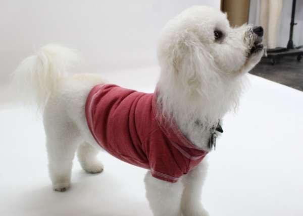 Brick - Doggy Hoodie French Terry - Medium