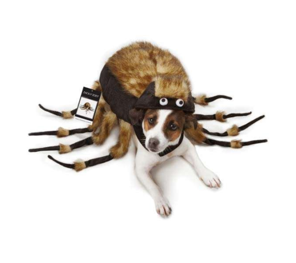 Brown - ZZ Fuzzy Tarantula Costume - Small