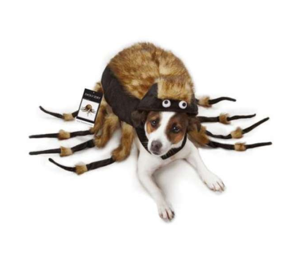 Brown - ZZ Fuzzy Tarantula Costume - Xsmall