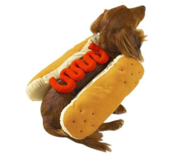 Mustard - Casual Canine Hot Diggity Dog Costume   - Large