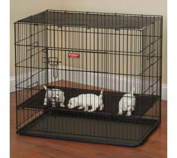 Black - ProSelect Puppy PlayPen with Plastic Pan - Medium