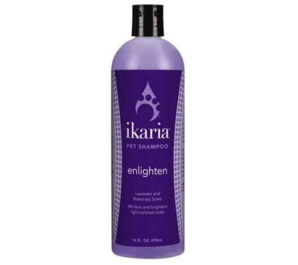 Enlighten - ikaria Shampoo Enlighten - 16oz