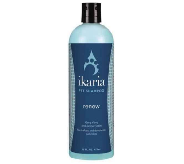 Renew - ikaria Shampoo Renew - 16oz
