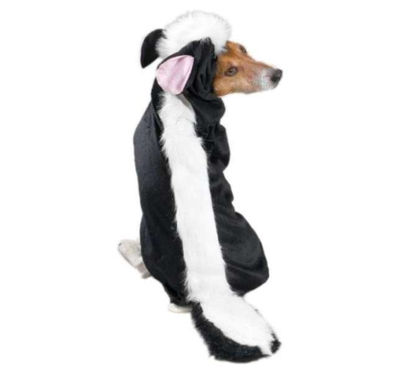 Casual Canine Lil' Stinker Costume  - Xsmall