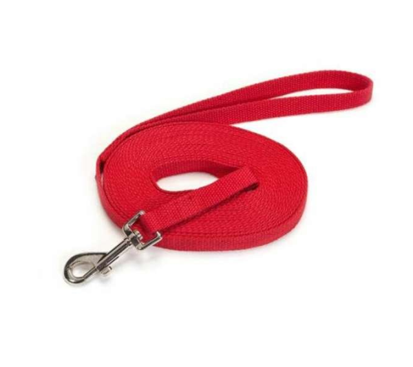 Red - Guardian Gear Cotton Web Training Lead  - 15ft