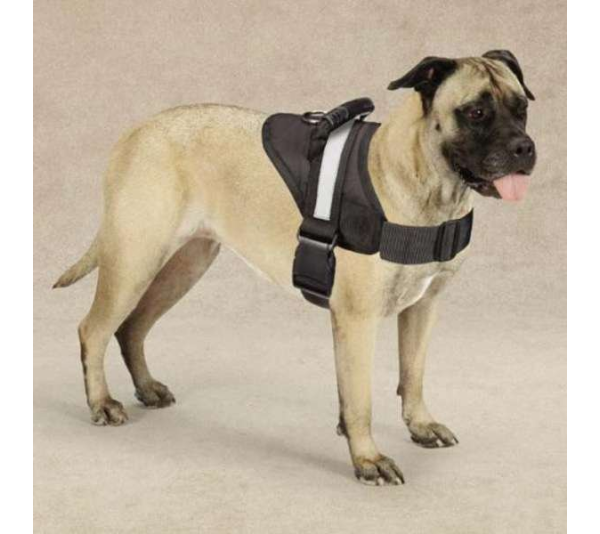 Black - Guardian Gear Excursion Harnesses 15-19In  - 15-19in