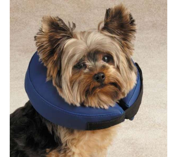 Blue - Total Pet Health Inflatable Collar  - XL