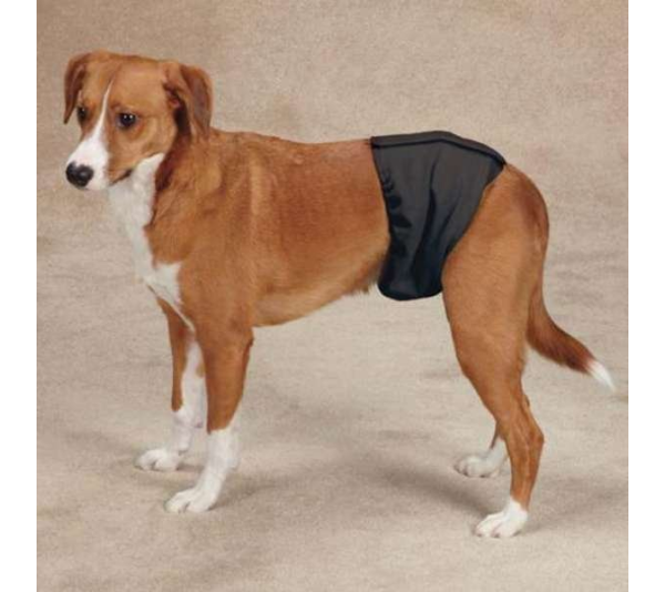 Black - Clean Go Pet Washable Male Wrap  - Medium
