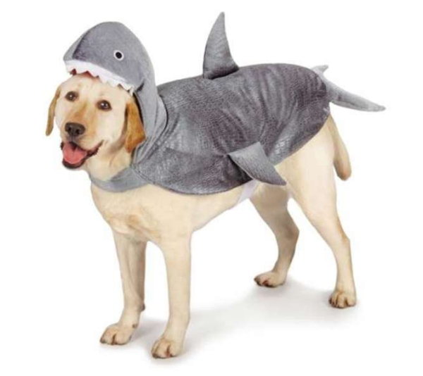 CC Shark Costume  - Large