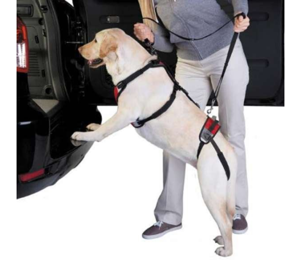 Red - Total Pet Health Lift & Go Lead - Large